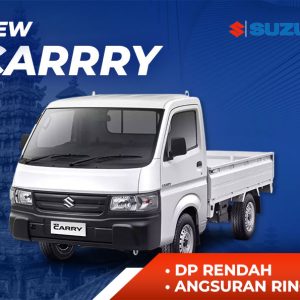SUZUKI NEW CARRY